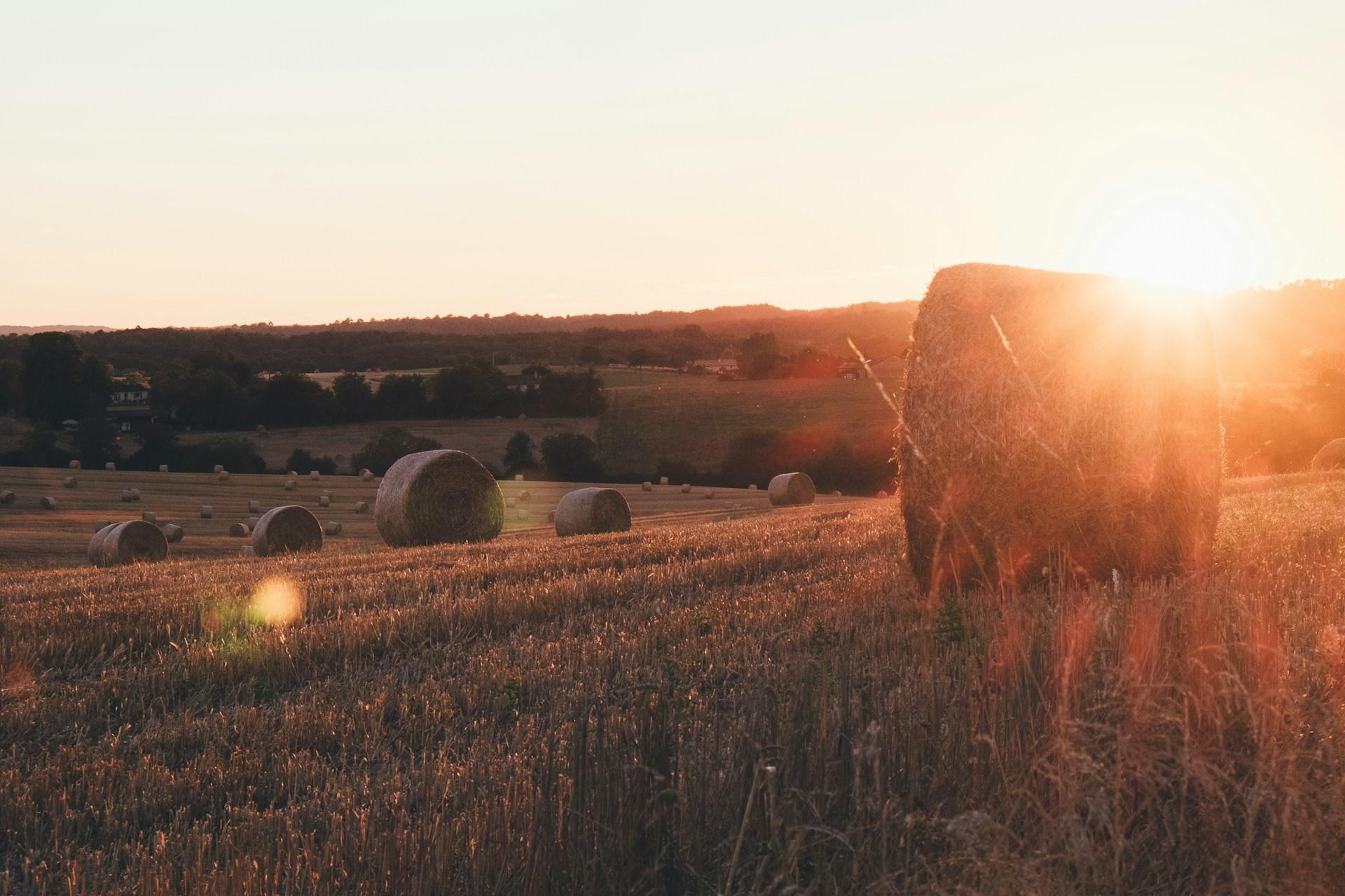 6 Sustainable Travel Tips for Foodies in France - background banner